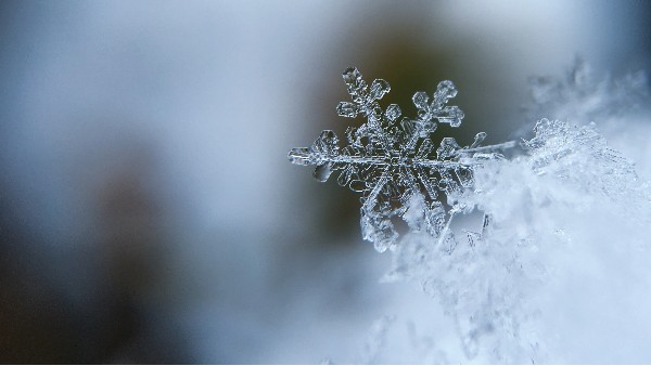 今日大雪 | 雪落知寒意 常伴見匠心